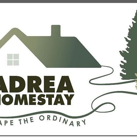 Adrea Homestay Terengganu 瓜拉丁加奴 外观 照片